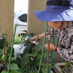 IMG20220622152418 (002).jpg